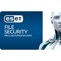 Obrázek ESET Server Security pro Linux; obnovení licence; počet licencí 1; platnost 2 roky